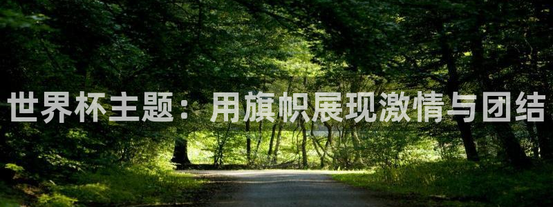 足球世界杯时间：世界杯主题：用旗帜展现激情与团结