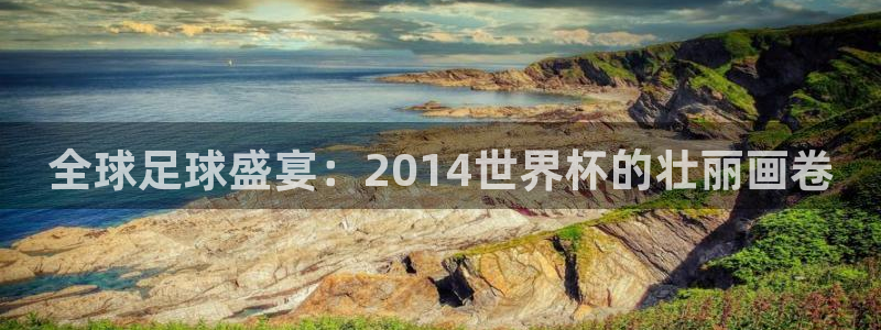 男足世界杯预选赛赛程：全球足球盛宴：2014世界杯的壮丽画卷