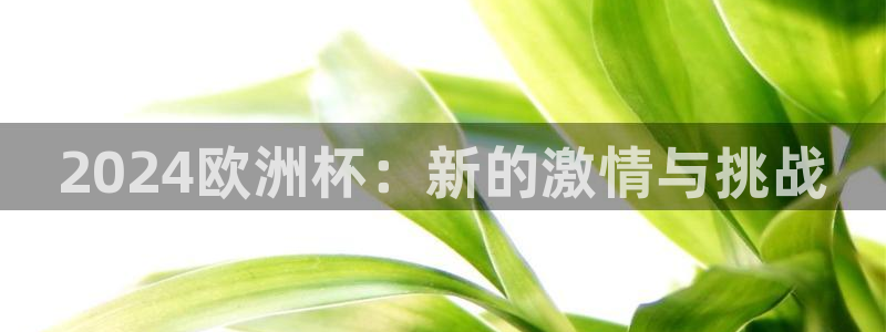 世界杯预选赛赛程：2024欧洲杯：新的激情与挑战