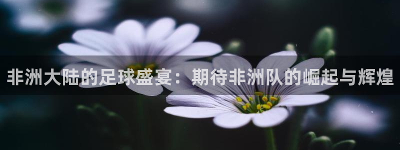 2026足球世界杯：非洲大陆的足球盛宴：期待非洲队的崛起与辉煌