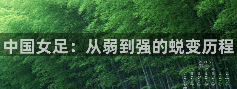 足球世界杯时间：中国女足：从弱到强的蜕变历程