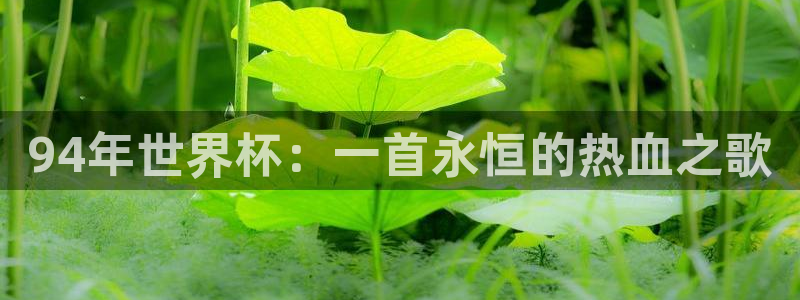 世界杯直播平台：94年世界杯：一首永恒的热血之歌