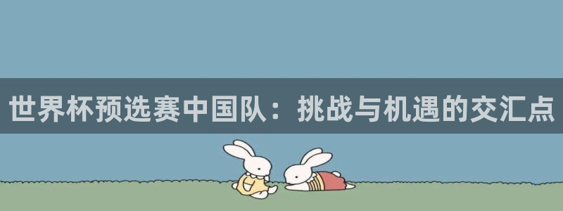 世界杯直播观看：世界杯预选赛中国队：挑战与机遇的交汇点