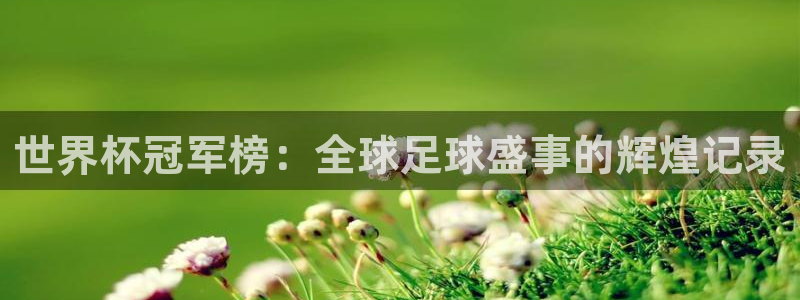 英足总杯直播：世界杯冠军榜：全球足球盛事的辉煌记录
