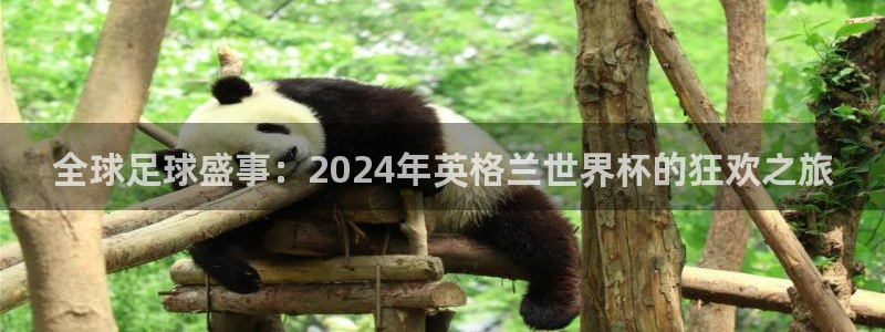 世界杯亚洲区预选赛赛程：全球足球盛事：2024年英格兰世界杯的狂欢之旅