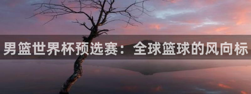 欧洲世界杯预选赛：男篮世界杯预选赛：全球篮球的风向标